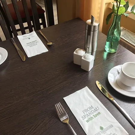 林登乌法酒店 柏林
