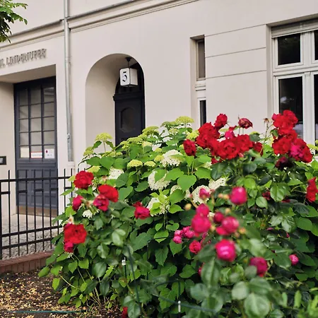 Lindenufer Берлин